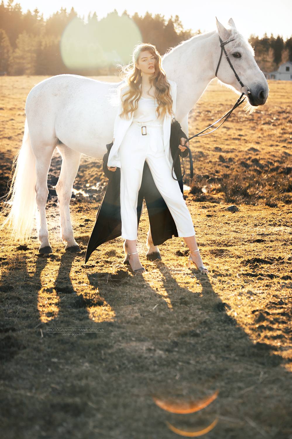 horse, horses, лошадь, конь, конныйфотограф, конный фотограф Яна Орлова, кэнон, canon, 7020028, лошади, фотографияслошадью, фотосессияслошадью, фотосессиислошадьми, коннаяфотография, pferd, horsephotographer, женский портрет, девушка , Яна Орлова