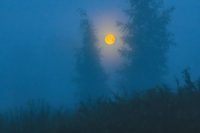 Июльское полнолуние. фото превью