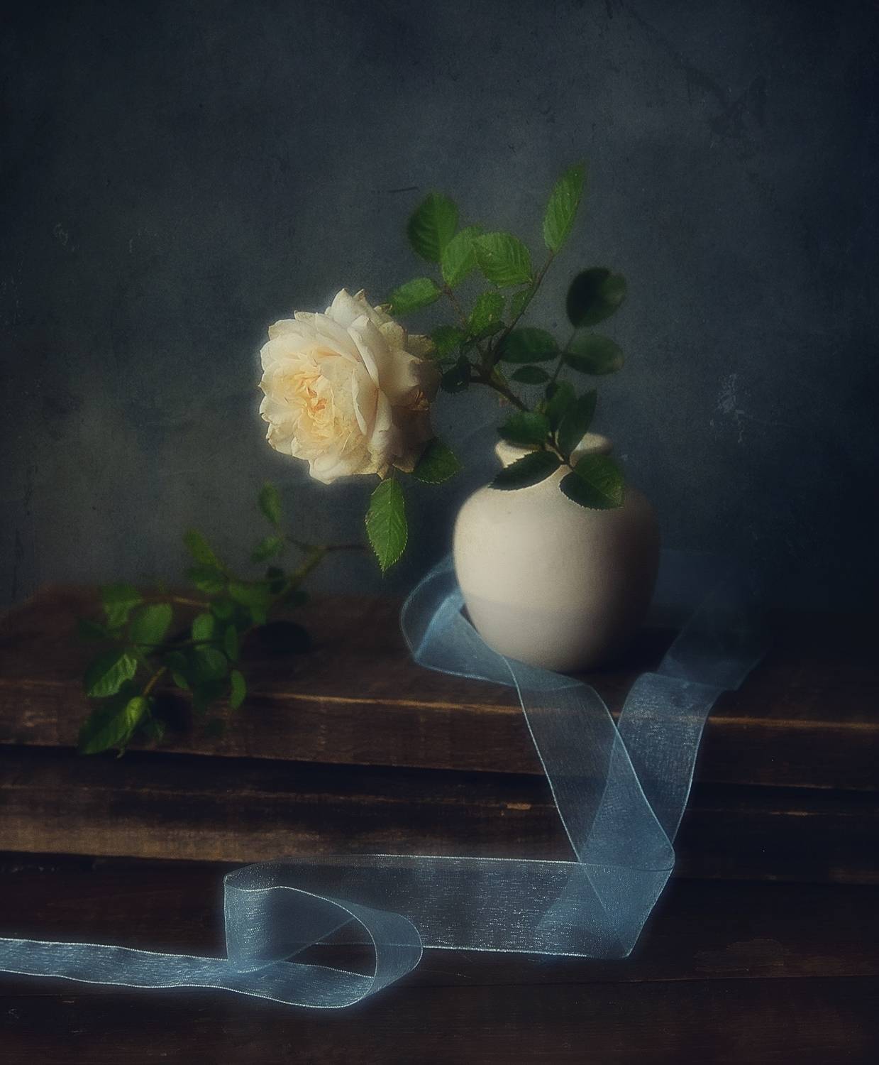 натюрморт,цветы,роза,лето, Наталия К