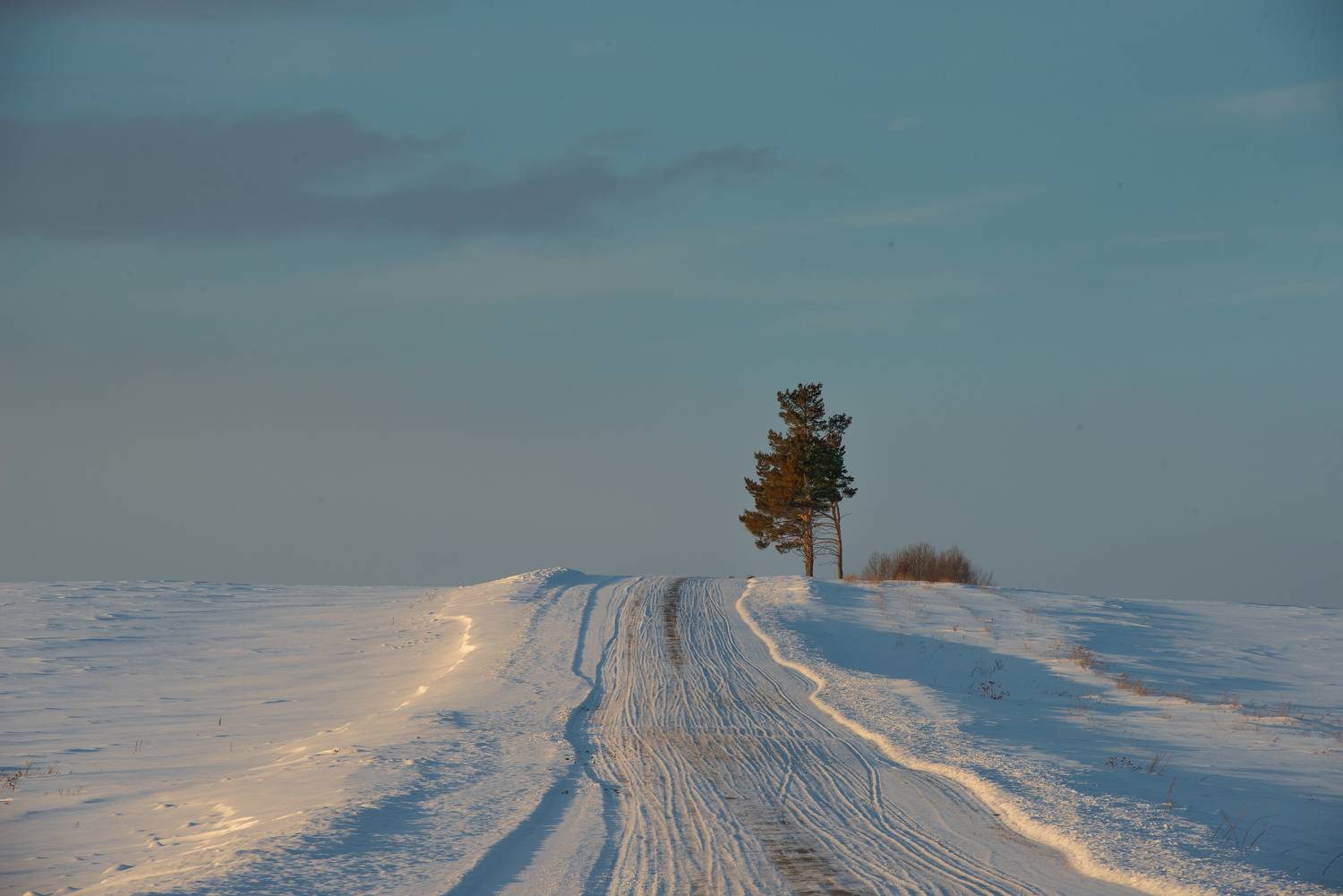 , Эдуард Кутыгин