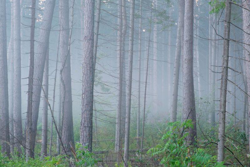 до первых лучей фото превью