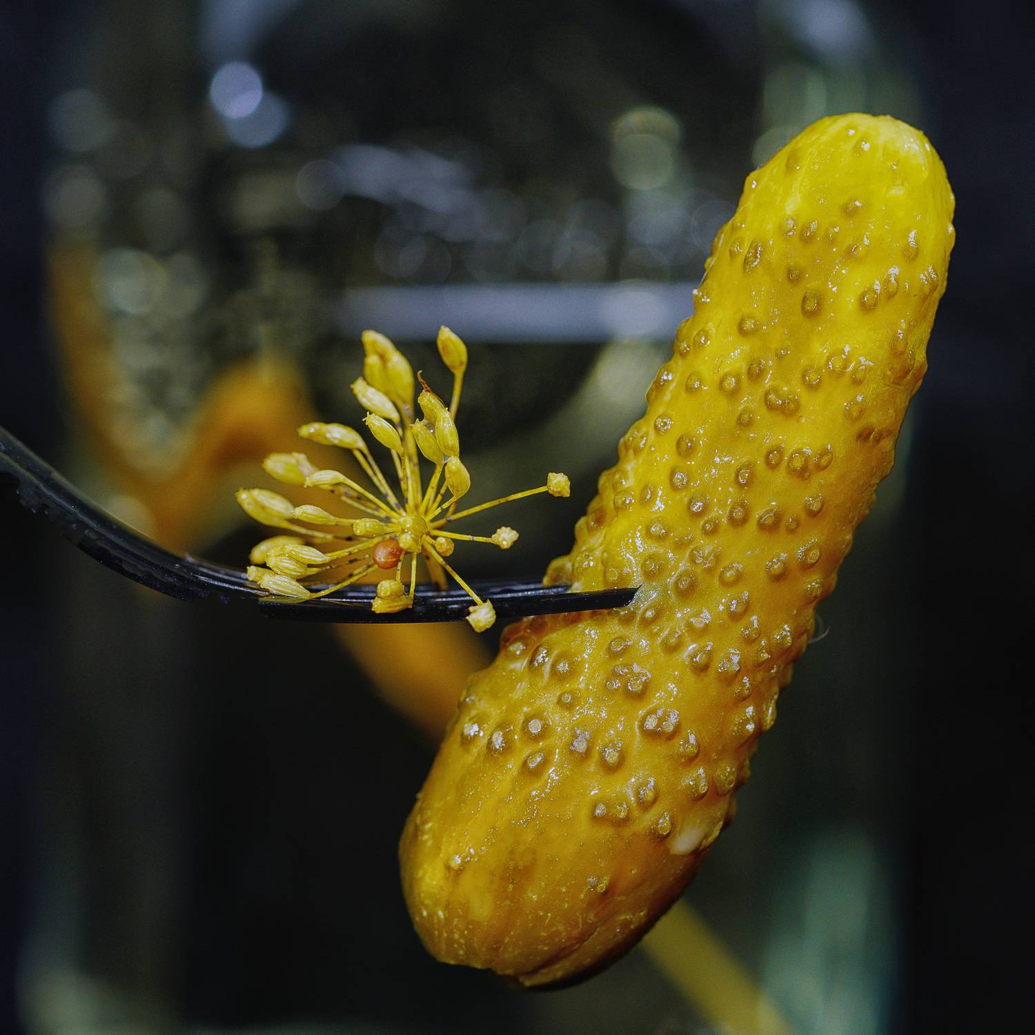 малосольный огурчик  еда , Igor Lukin