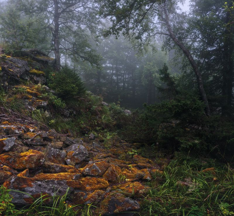 тайга, уреньга, южный урал Таежные истории фото превью