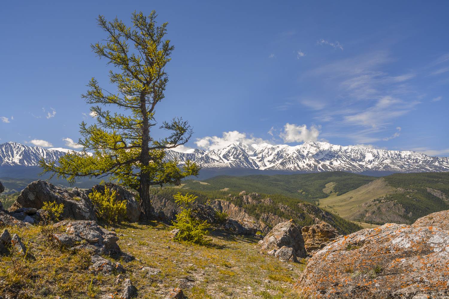 россия, горный алтай, Андрей Поляков