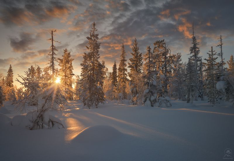 зима, солнце, снег, рассвет, кольский, мурманская, сопки, фототур на кольский -20℃ фото превью