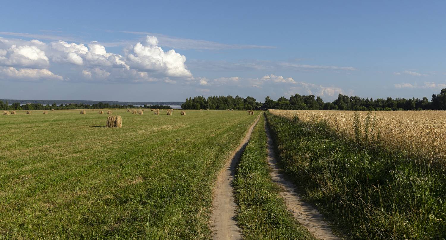 , Шитов Александр