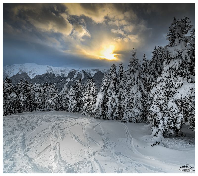 Заколдованный лес снежных гор фото превью