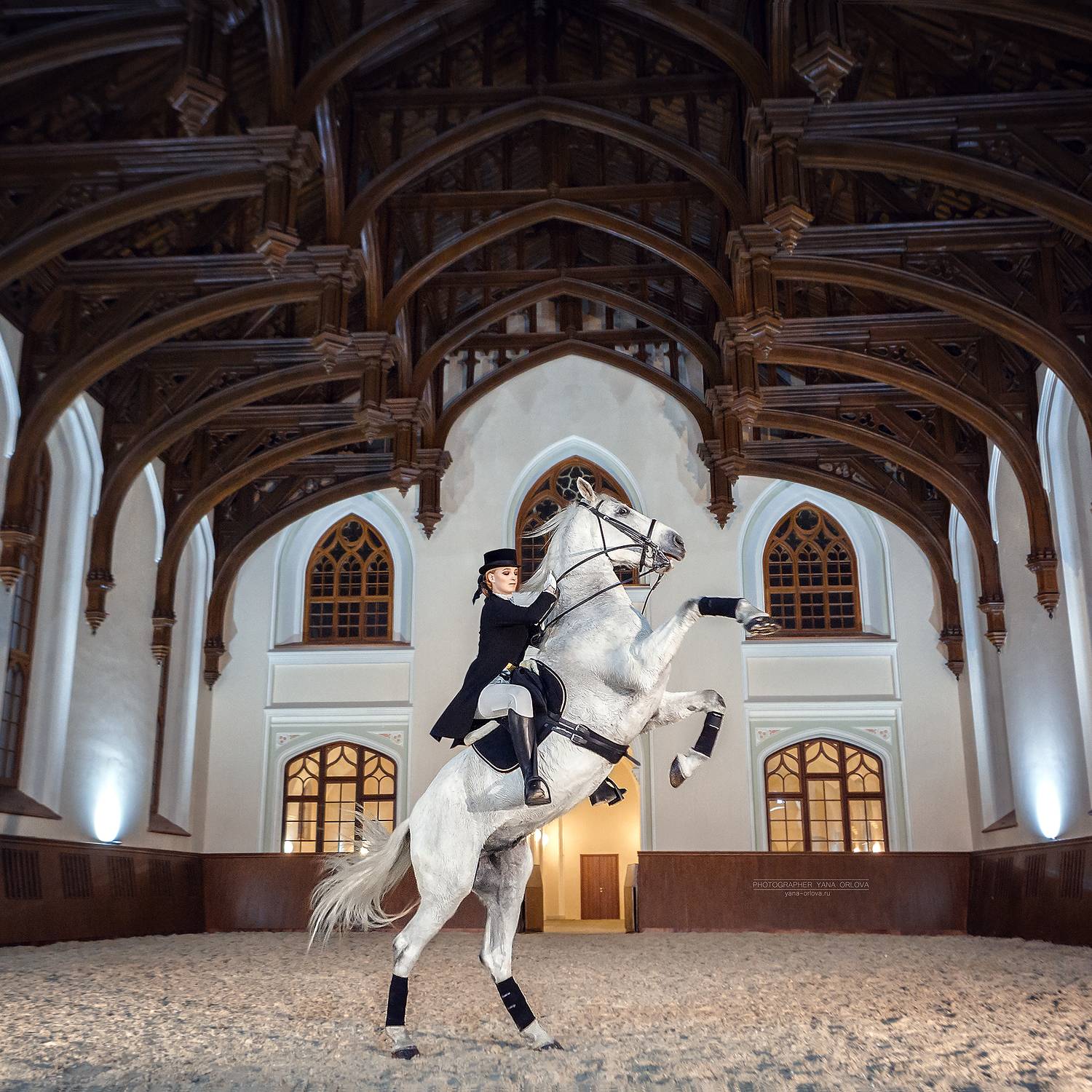 horse, horses, лошадь, конь, конныйфотограф, конный фотограф Яна Орлова, кэнон, canon, 7020028, лошади, фотографияслошадью, фотосессияслошадью, фотосессиислошадьми, коннаяфотография, pferd, horsephotographer, женский портрет, девушка , Яна Орлова