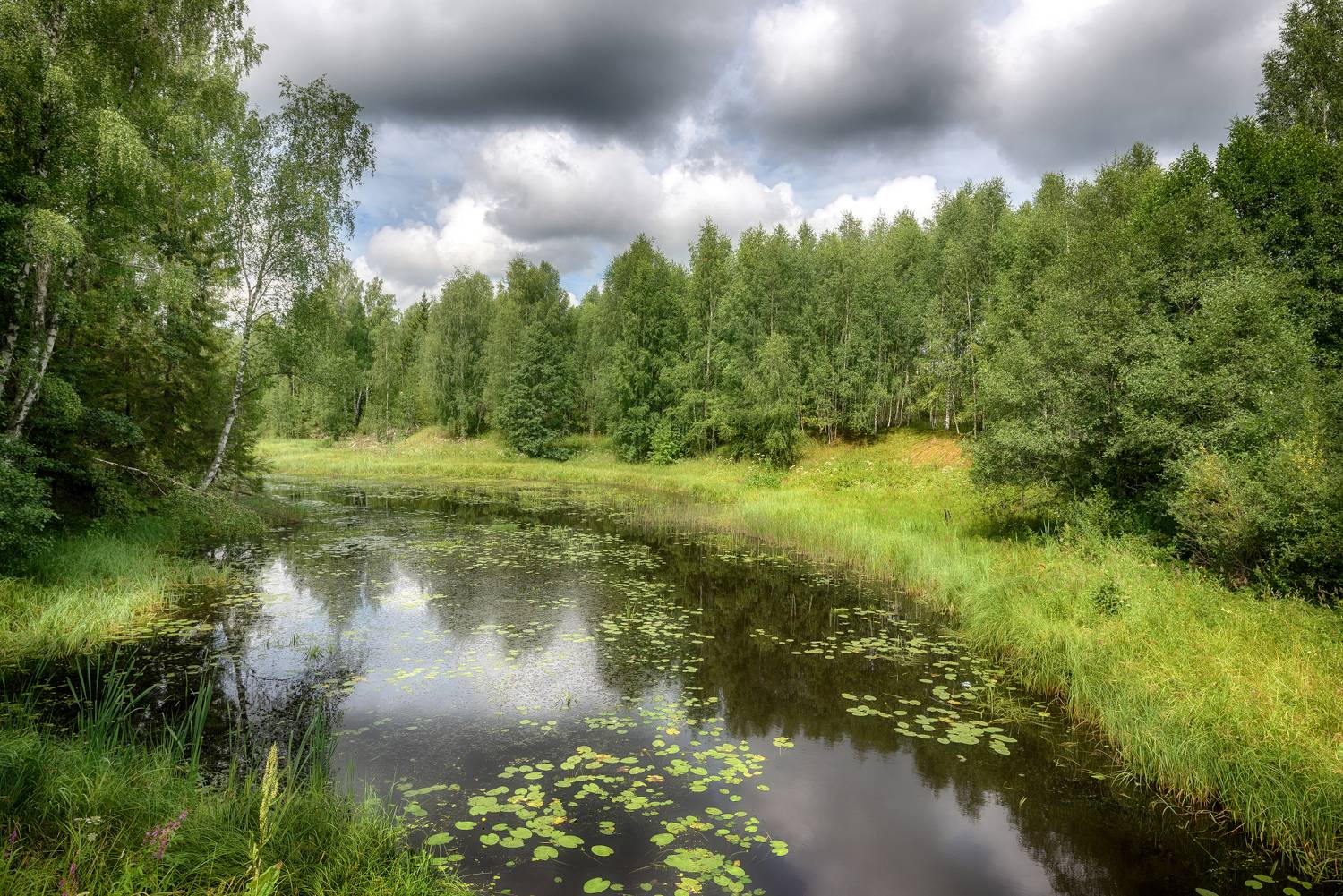 речка, июль, лес, Сергей Аникин