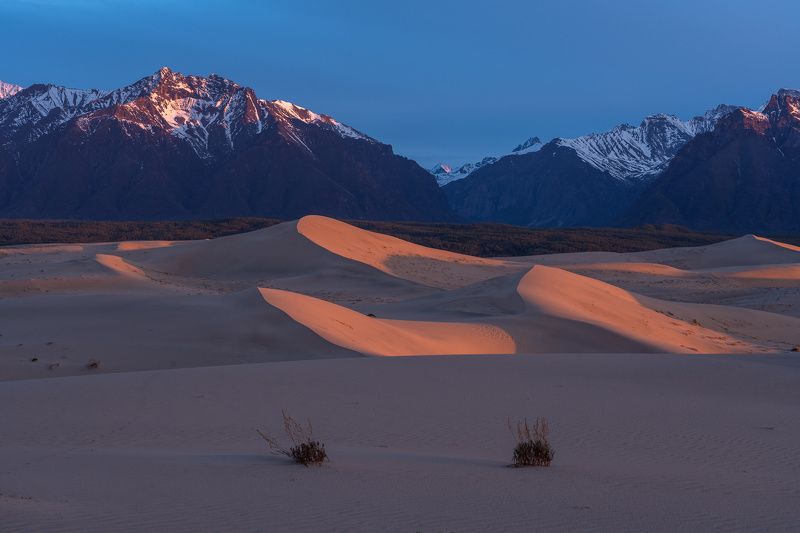 чарские пески, пустыня, горы, кодар, дюны, восход, рассвет, desert, mountains, kodar, dunes, sunrise, sand  фото превью