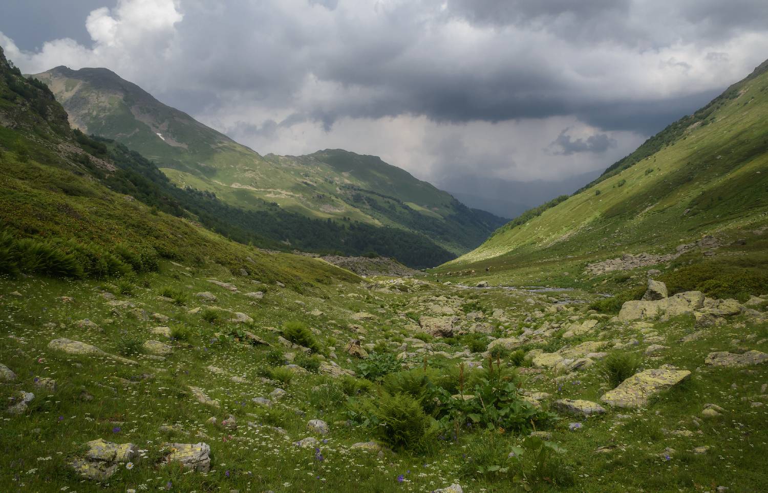 , Сергей Лысенко