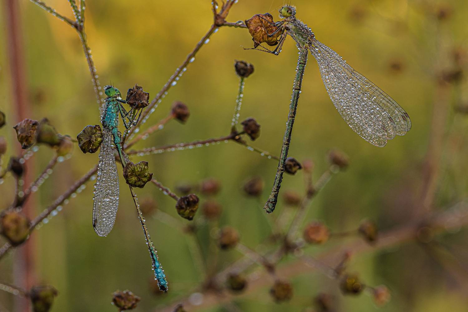 , Зайцев Роман