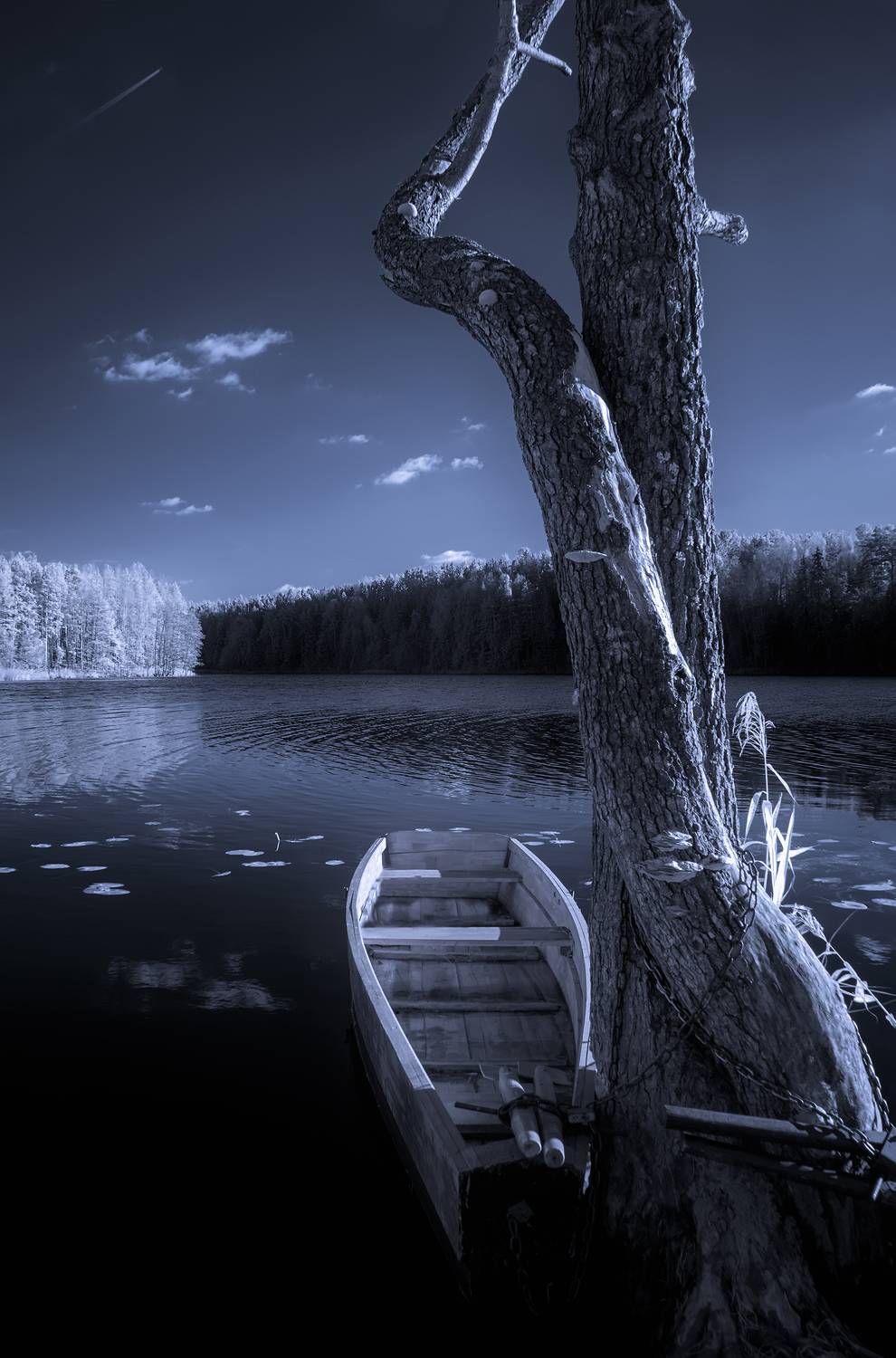 infrared,ик-фото,инфракрасное фото, инфракрасная фотография, пейзаж, осень,  Sixten (Сергей)