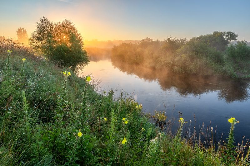 Зарождение нового дня у реки Оредеж. фото превью