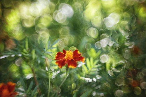 Утонуть в боке