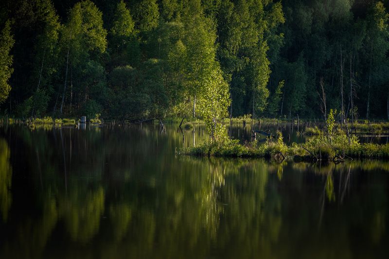 Пейзаж в кадре фото превью