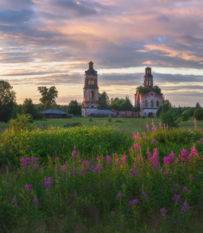 Вечерний пейзаж с Иван-чаем фото превью