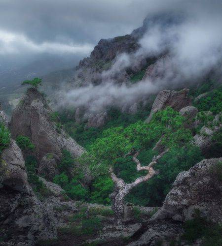 На туманных скалах