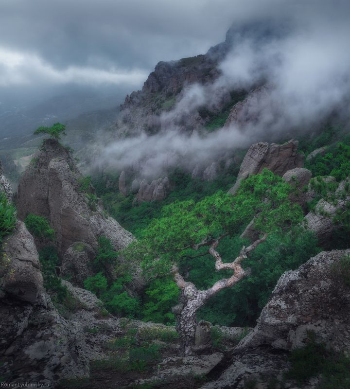 крым, пейзаж, демерджи, туман, горы, скалы На туманных скалах фото превью