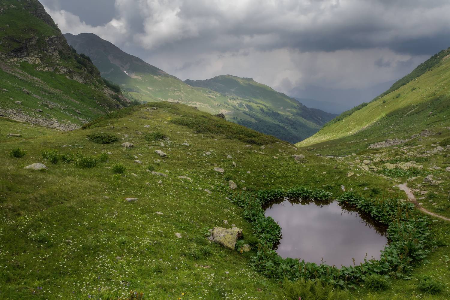 , Сергей Лысенко