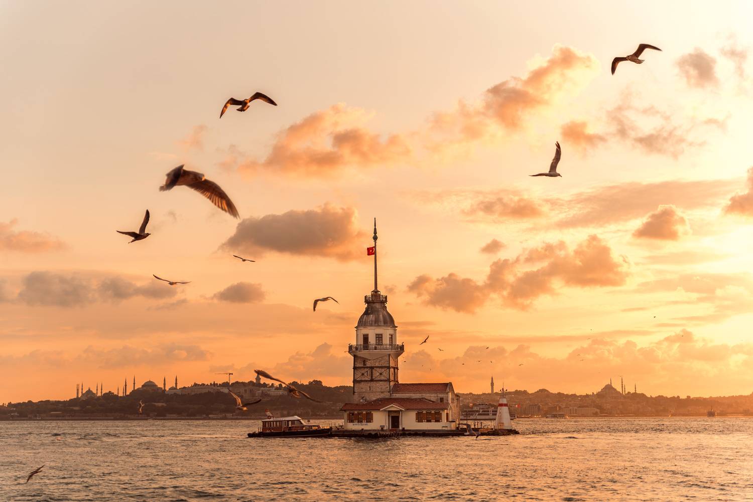 , Рагинская Ольга