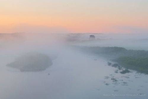 Магия кологривских туманов