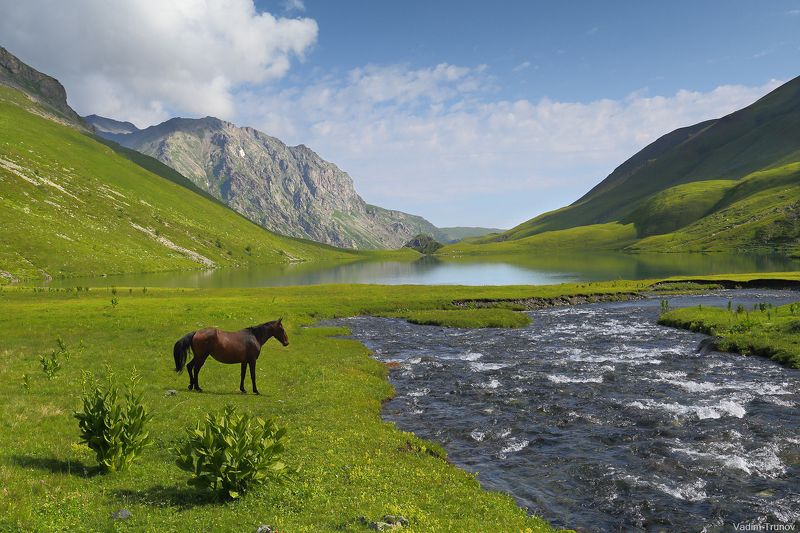 архыз, кчр, кяфар, абишира-ахуба, кавказ Кяфар фото превью