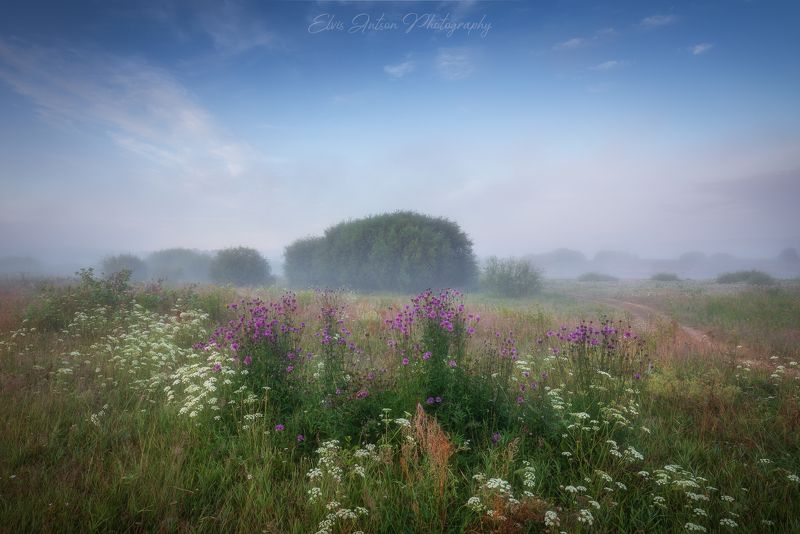 пейзаж, природа, кологрив «Июль – макушка лета, серёдка цвета». фото превью