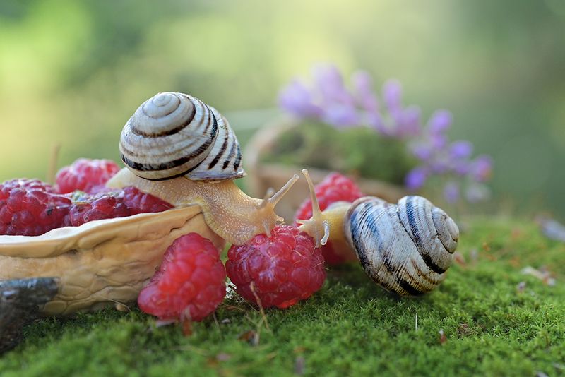 Романтика фото превью