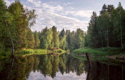 Керженец