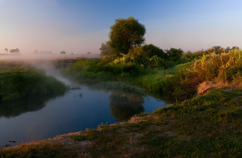 воронеж, усманка, боровое, утро, река, летний пейзаж, туман над рекой, туман  фото превью