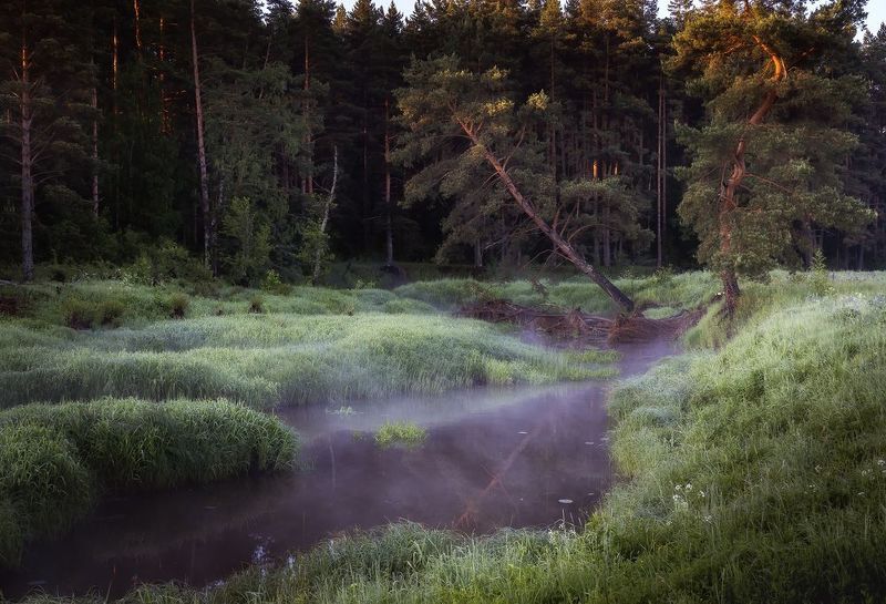 лето, рассвет, речка. пейзаж, туман над водой  фото превью