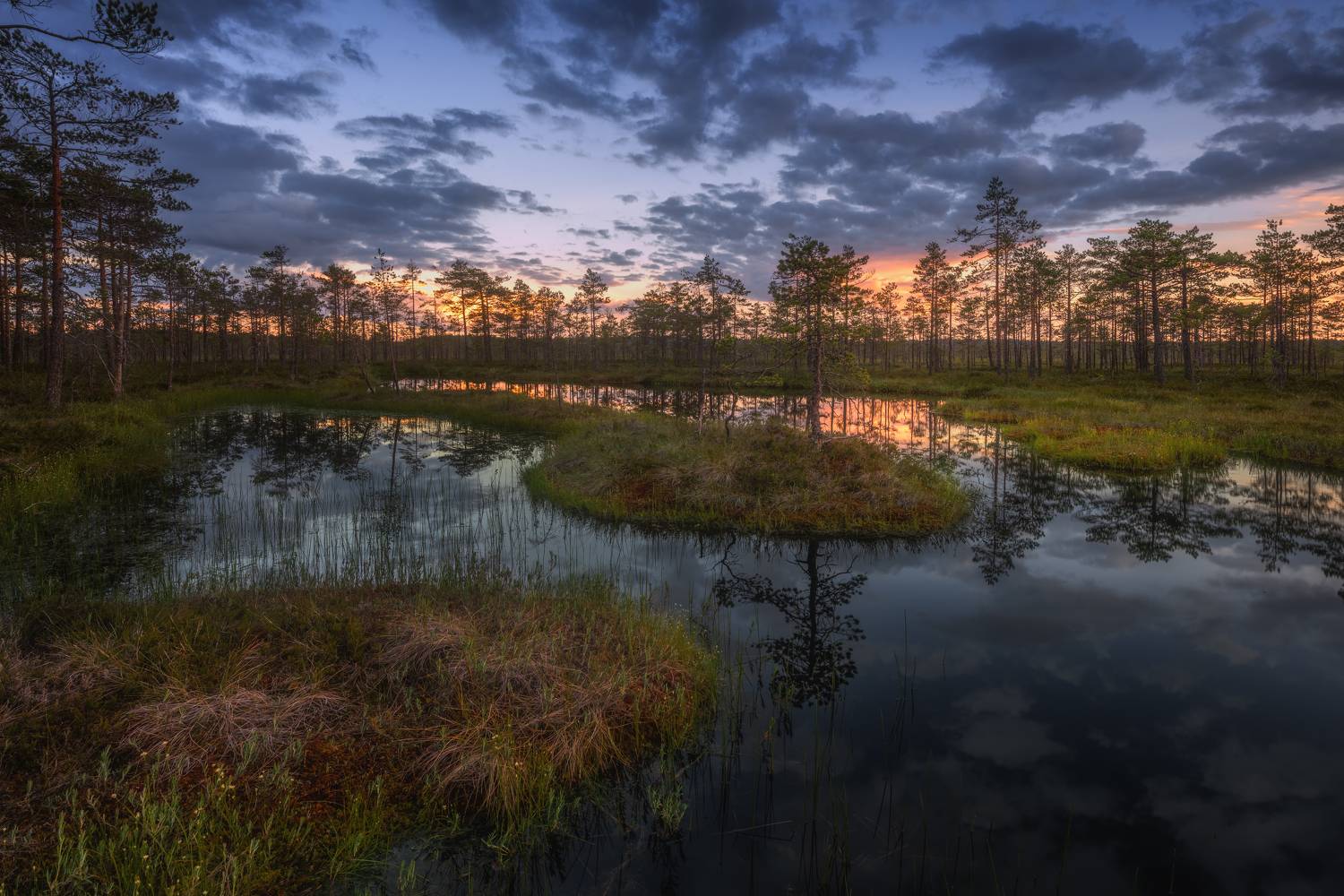 , Максим Евдокимов