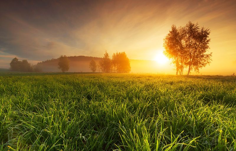 / /// фото превью