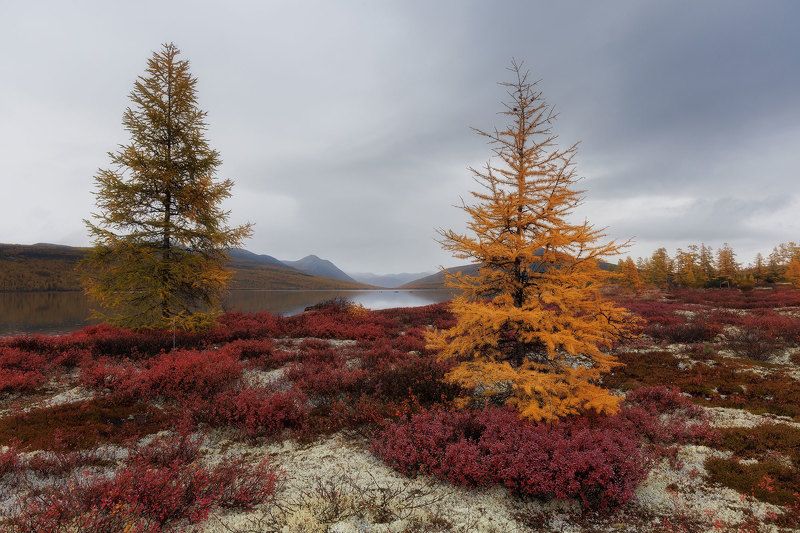 Озеро Джека Лондона фото превью
