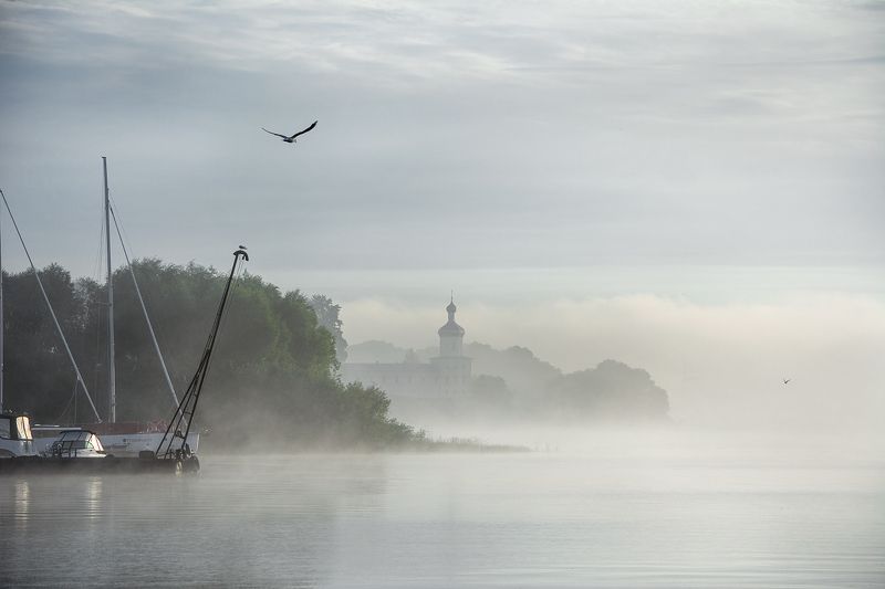 утро фото превью