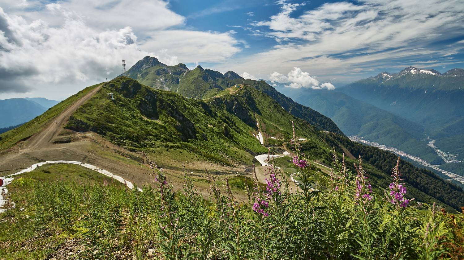 , Илья Лисаускас