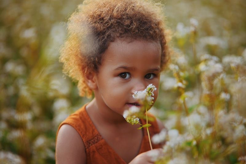 цветы, поле, девочка, ребенок, kids  фото превью