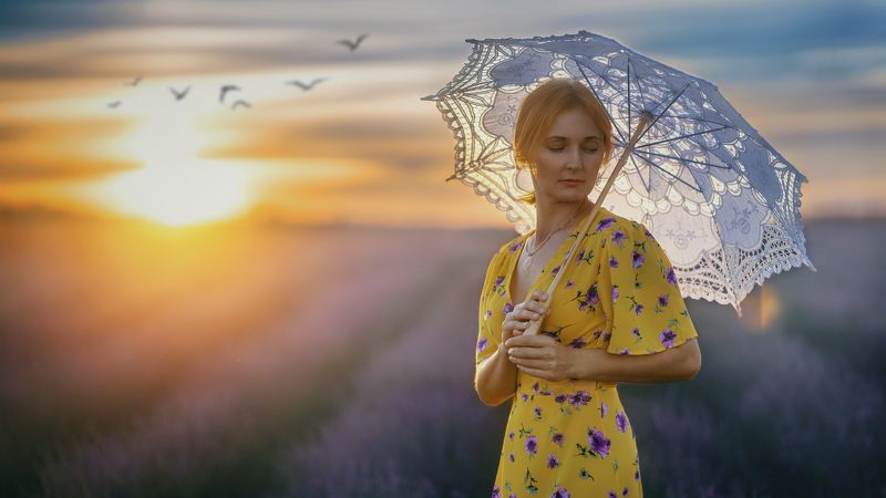 В лавандовом поле фото превью