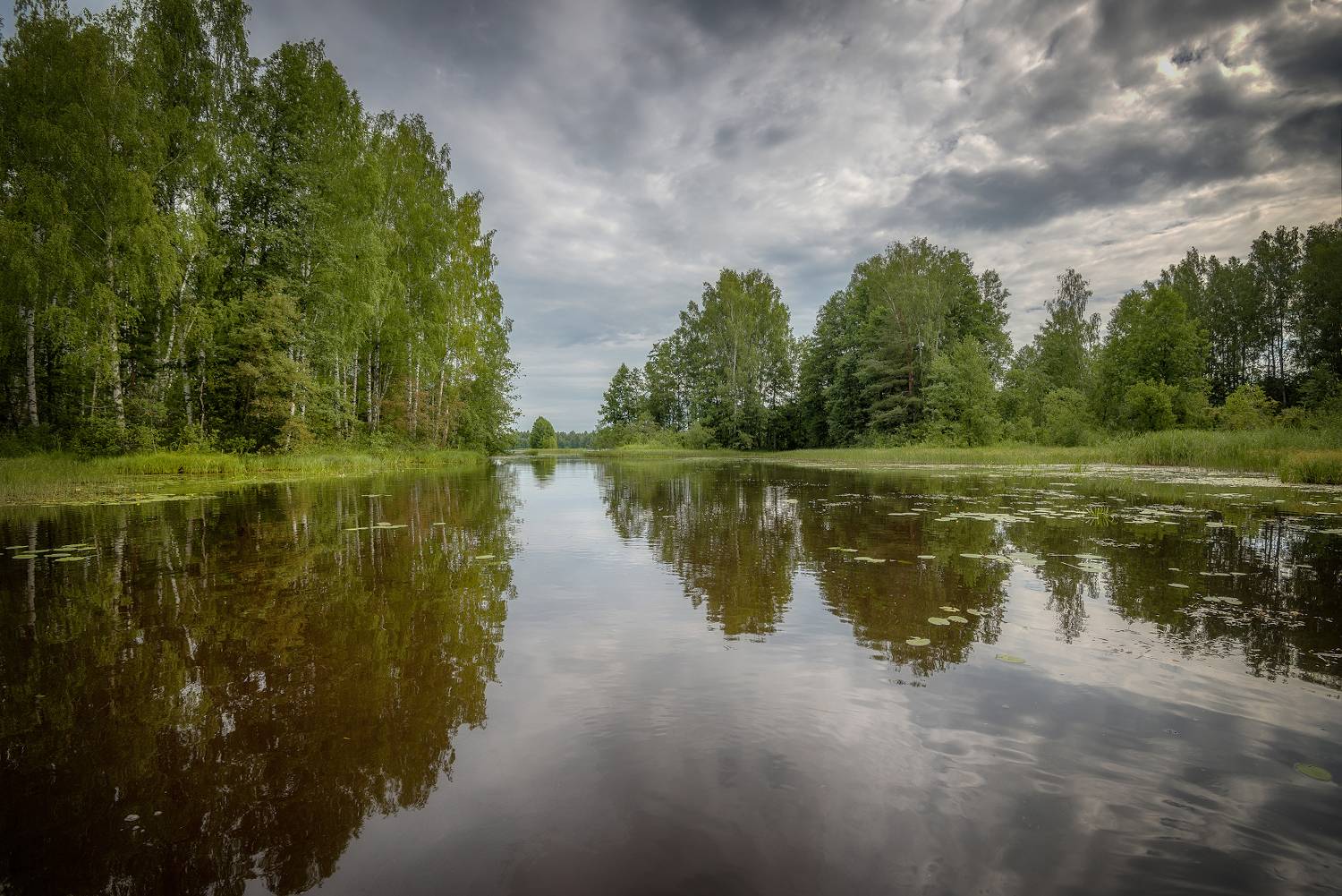Река, лес, лето, Сергей Аникин