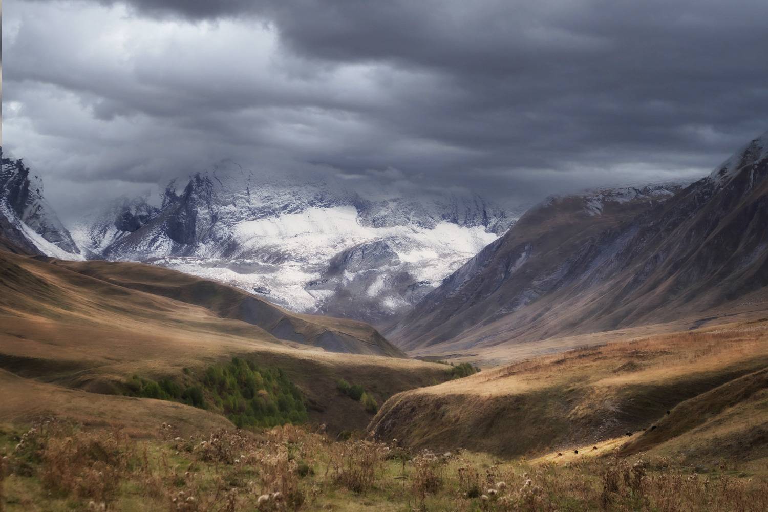 , Глухарёва Ольга