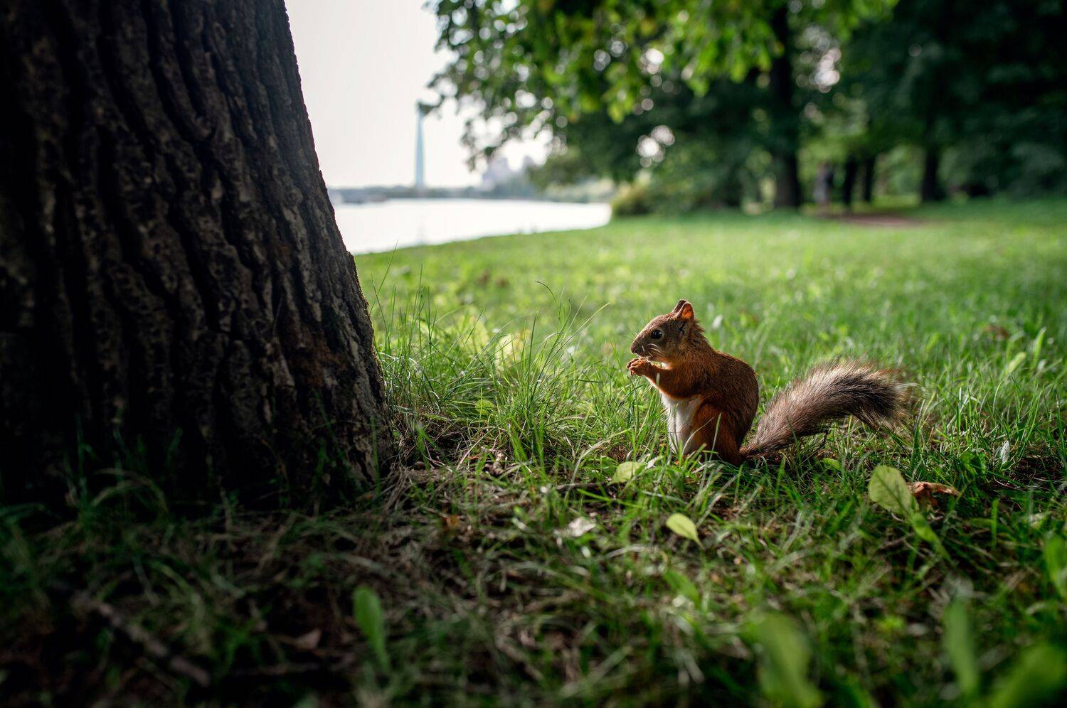 , Konstantin Shiryaev