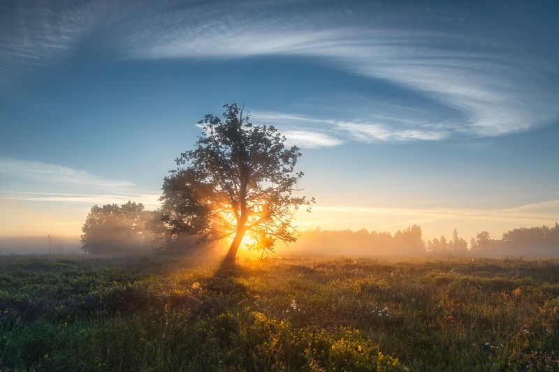 summer fresh фото превью