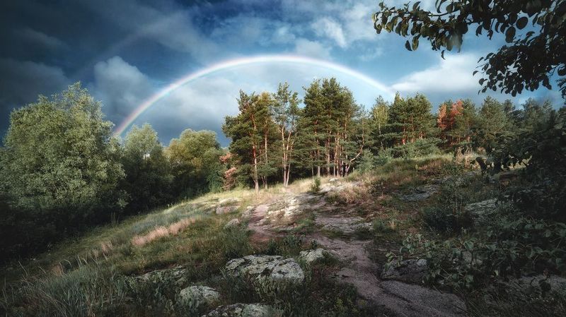 пейзаж, лес, радуга, тишина, гармония, украина, коростышев, фотограф чорный, саша чорный, \