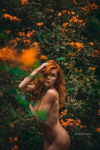 Izabelle