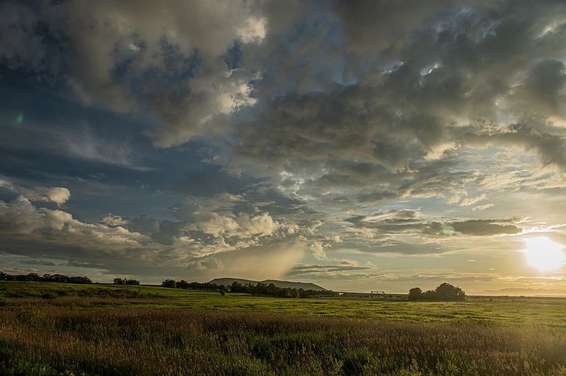 Лето фото превью