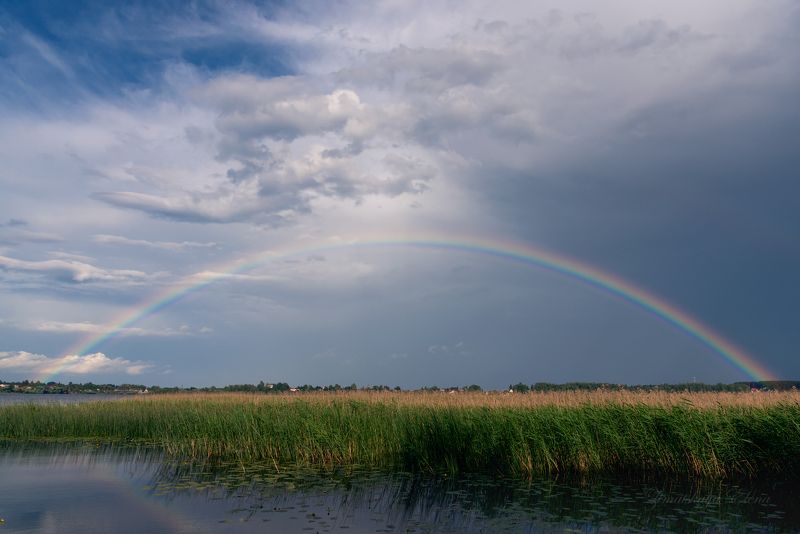 *** после дождя фото превью