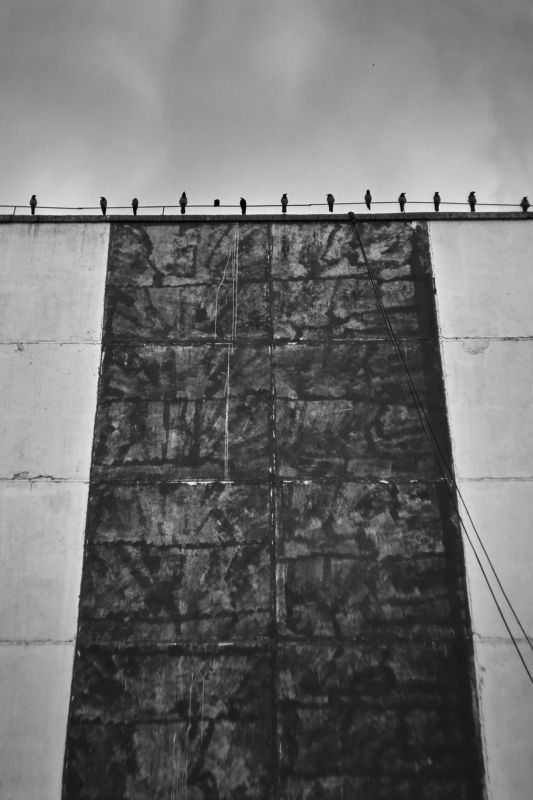 *** фото превью