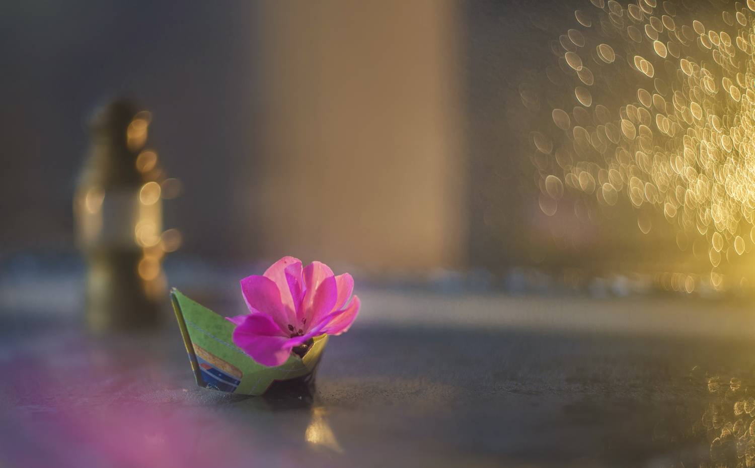 , Сигидова Ирина