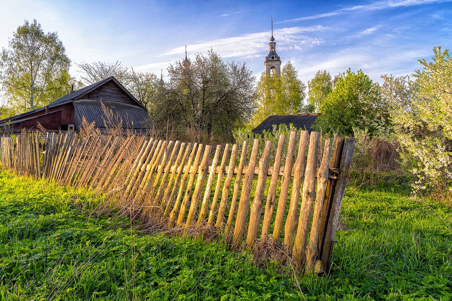 , Лариса Дука